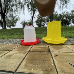 Rectangular Modern Poultry House Feeder And Drinker Feed Bucket