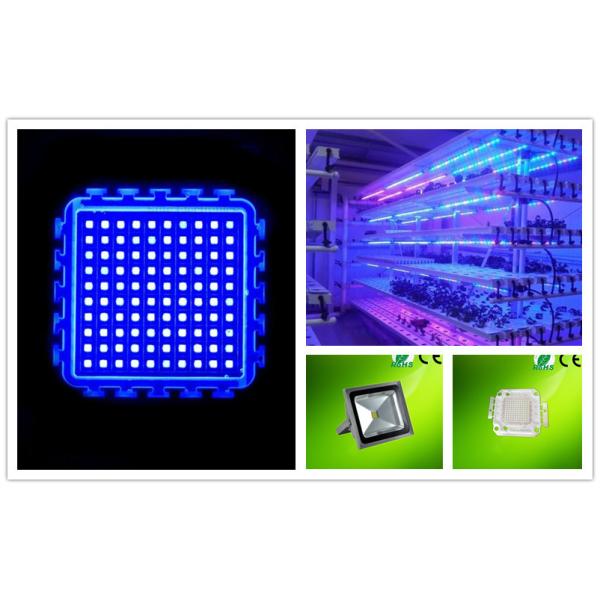 China Factory High Power LED Diode 100w Blue 450nm 455nm 460nm 470nm