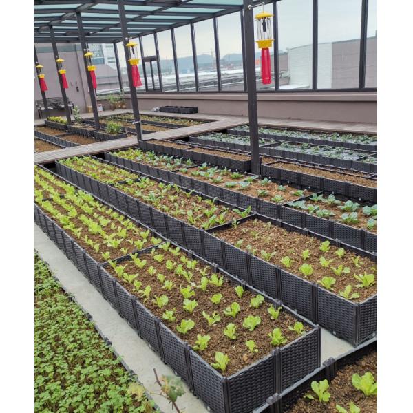 Multifunction Elevated Plastic Planter Box For Vegetable Growing Weather Resistance