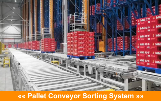 Double Deep pallet Stacker Crane ASRS, Floor Supported SRM(Storage Retrieval Machine), Automatic Storage And Retrieval System,Room Temperature