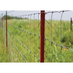 Hot Dipped Galvanized Fixed Knot Sheep Farm Fence Of Steel Wire Mesh