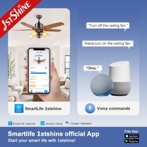 OEM Energy Saving Pull Switch Ceiling Fan With 5 Wooden Blades