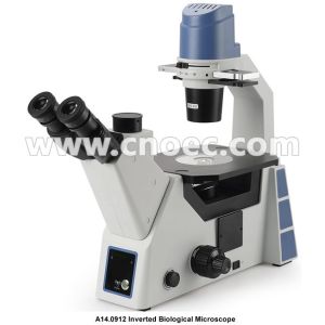 China 400X 360° Rotatable Trinocular Inverted Optical Microscope Biological Microscope A14.0912 on sale China 400X 360° Rotatable Trinocular Inverted Optical Microscope Biological Microscope A14.0912 on sale