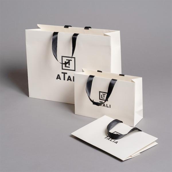 Luxury Custom Paper Packaging Shopping Bag With Logo