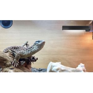 RoHS LED UVA UVB Reptile Light Desert 9 Watt For Reptile Gecko Chemelon