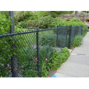 Strong Chain Link Black Fence , Chain Link Security Fence 50*50mm