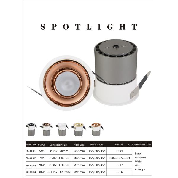 30w White Recessed Downlight AC220-240V 100 Lumen/W With Epistar Chip