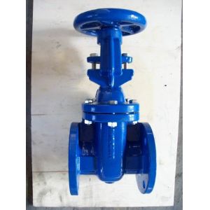 (bs) Cast Iron Metal Gate Valve O&Y flanged ends