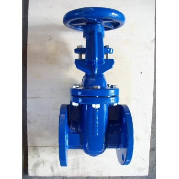 (bs) Cast Iron Metal Gate Valve O&Y flanged ends