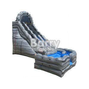 Commercial Blue Curve Wave Inflatable Water Slides For Children