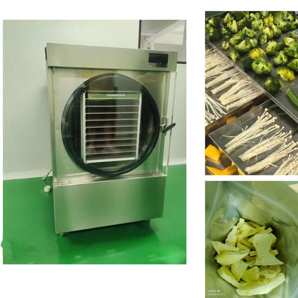 Quality Smart Home Freeze Dryer Temperature Range -50C To 90C for Freeze Drying Applications wholesale