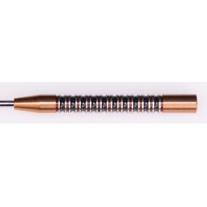 21.0g Steel Tip Tungsten 95% for Professional Players