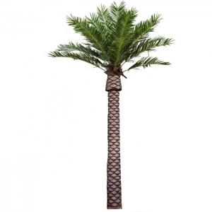 China Artificial Coconut Palm Tree Fiberglass Tree Mall Beach Outdoor Trees on sale
