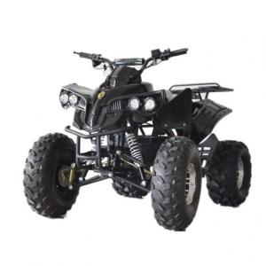 Cheap Front Drum Brake and Rear Hydraulic Disc Brake 1000W Electric Off-road Beach Vehicle for sale