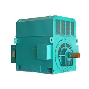 6kV IP23 Class F IM B3 HV Electric Motor Three Phase Light Weight