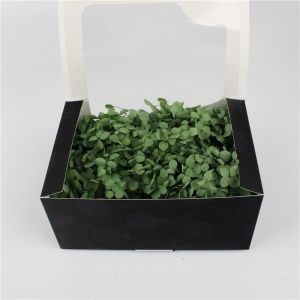 Multi Colors A Grade Preserved Hydrangea Flowers For Creative Gift