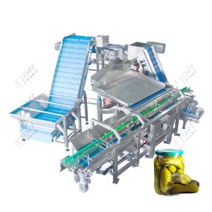 LWT Automatic Vibration Filling Machine for Cucumber Fruit Canned Food in Glass