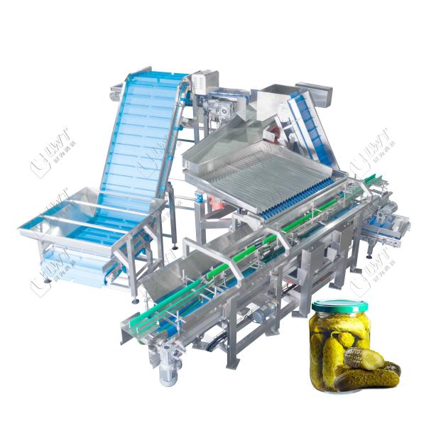 LWT Automatic Vibration Filling Machine for Cucumber Fruit Canned Food in Glass
