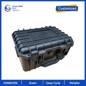 Multifunctional Energy Storage Battery 300W 12.8V 52Ah For Electronic Devices