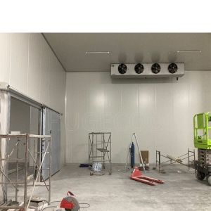 Commercial Cold Storage Room with Freon Refrigerant and Suitable Temperature