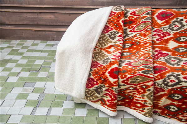 Floral Printed Plush Velvet Sherpa Blanket 2 Ply With Folded Edge Allergy Free