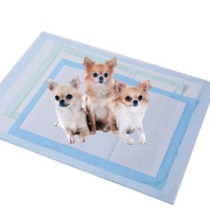 Customizable Non-Woven Super Absorbent Pet Training Pads
