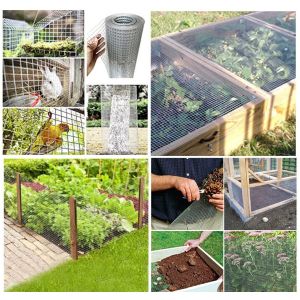 Galvanized Welded Wire Mesh The Perfect Choice for Durable Garden Fencing