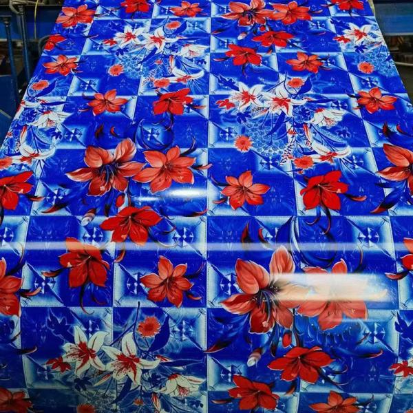 Quality 0.35mm Prepainted Galvanized Steel Coil Flower Pattern Color Coated wholesale