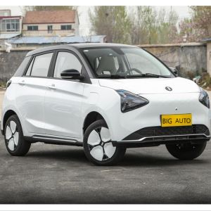 Luxurious Interior High End Pure Electric Car Joy 01 Max. Speed 100 Km/h