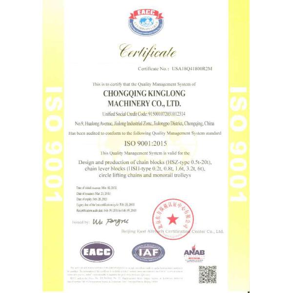 VITAL TYPE CHAIN PULLEY BLOCK 0.5T*1.5M Single-pawl, German-quality LIFTING CHAIN