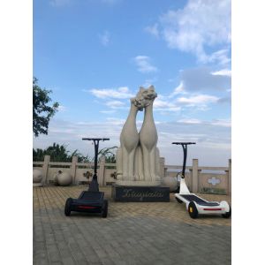 China 8h Charging Precursor Driving Adult Folding Scooter on sale