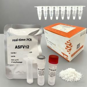 China real time PCR African swine fever virus (ASFV12) typing Detection Kit Compatible with various types of PCR instruments on sale