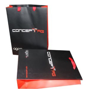 China Printed Polythene Carrier Bags Matt Coated , Rope Handle Carrier Bags on sale