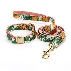 Pu Leather Personalized Dog Collars Custom Printed Charms Designer Dog Collars