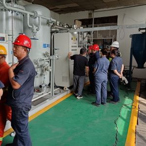 Pressure Swing Adsorption Type Nitrogen Gas Generation Purifier With CE