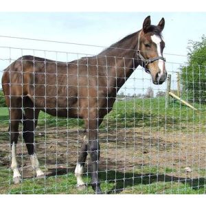 Livestock Galvanized 12 Foot Hinge Joint Field Fence For Aquaculture