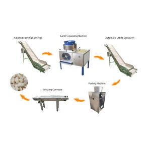 Commercial Garlic Peeling Line Peeler Machine Garlic Bulb Breaking Machine