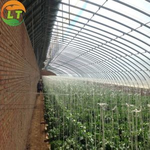 China Environmentally Friendly Solar Agricultural Greenhouse with Greenhouse Benches on sale