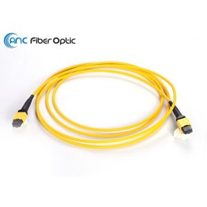 MTP To MTP Elite Fiber Optic Trunk Cable LSZH SM 24 Fiber 3.0mm Mini Jacket