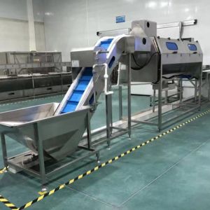Customize French Fries Production Line 60 Units Per Year Output for 2-3mm Banana
