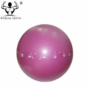 Anti Burst Gym Exercise Ball Eco Friendly PVC Material With Graspable Surface