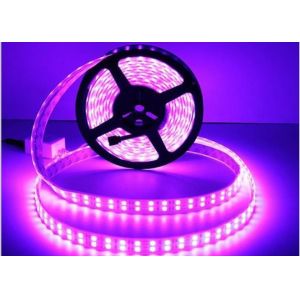Flexible LED Strip Light 5050 RGB DC12V / DC24V Double Line 28.8W/M Power