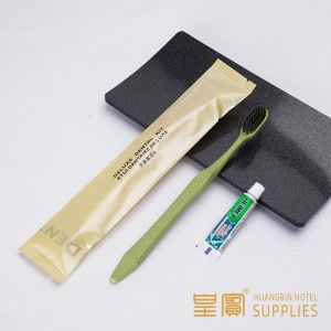 Custom Airline Hotel Amenities Kit 3g Toothpaste pp Comb