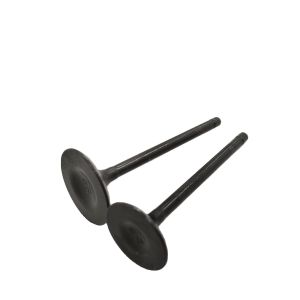 DAYANG Three Wheel Motorcycle Tricycle Black Iron Engine Forging Valve with