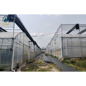 Large PVC Hydroponic Growing Troughs Strawberry Growing Gutters Easy Installed