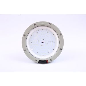 ATEX Zone 1 Explosion Proof High Bay Lighting Led 100W 50W Waterproof Gas