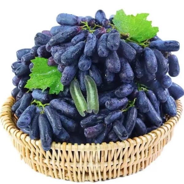 Fruit Agriculture Seaweed Organic Fertilizer 0