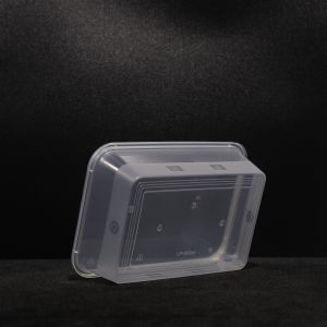 Suitable For Hot And Cold Food Disposable PP Lunch Box Packaging With Customized
