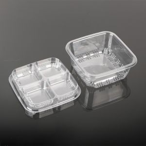 Customize PET Clear Disposable Plastic square Cake Container Disposable Fruit