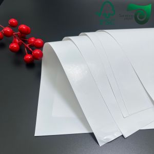 180gsm 200gsm C2S Glossy White Art Paper Ideal For Catalog Printing 635mm 940mm